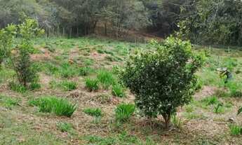 Imagem: Vende -se chacara, 1200mt2 Seio de Abrao