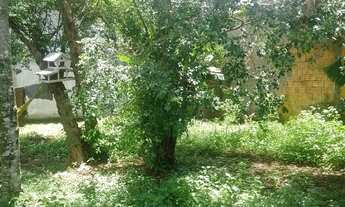 Imagem 3: Camping no rio vermelho