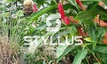 Imagem 4: Del Castilho Apartamento com 2 dormitórios