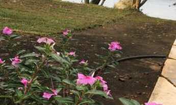 Imagem 4: Vendo Rancho no Porto Velho