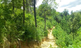 Imagem 7: Excelente oportunidade terreno rural de 13 hectares, Jaboticatubas(Temos varias opções