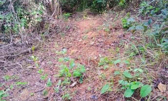 Imagem 4: Chácara de 57.000m² com nascente, rio de águas cristalinas /Jaboticatubas