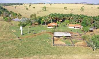 Imagem 3: Fazenda 67 Alqueires em Santa Isabel-Go