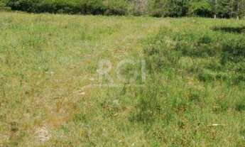 Imagem 6: Terreno em Padre Réus