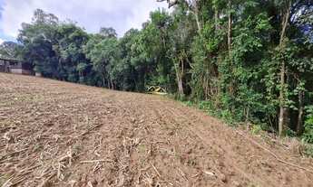 Imagem 6: CAMPO LARGO - Sítio - Rondinha