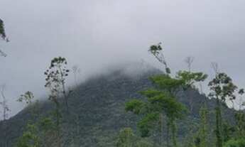 Imagem 4: Alugo casa em lindo sitio,santa teresa