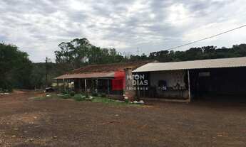 Imagem 7: Sitio com 14 Alqueires as margens do Contorno Oeste