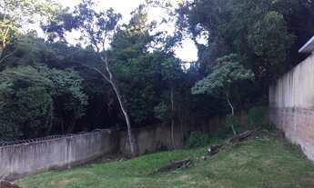 Imagem 2: Terreno em Lomba do Pinheiro