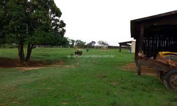 Imagem 5: Excelente Fazenda no Muni. de Nova Brasilandia -MT