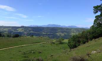 Imagem: Fazenda/Sítio/Chácara para venda tem 60.000