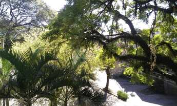 Imagem 2: Apartamento em Cristo Redentor