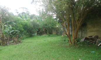 Imagem 3: Blumenau - Terreno Padrão - Garcia