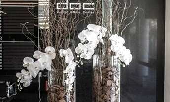 Imagem 6: Conjunto/Sala em Santana