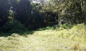 Imagem 4: Galpão à venda, Pastoril - Ribeirão Pires/SP