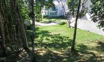 Imagem 5: FLORIANóPOLIS - Terreno Padrão - João Paulo