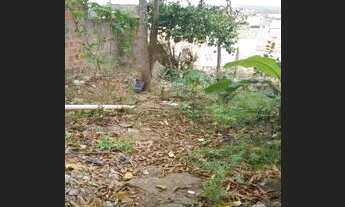 Imagem 7: Casa santos Dumont