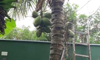 Imagem 5: Residencial pé na areia. Linda localidade com 5 edificações. Terreno com 933,41 m² e 439,0