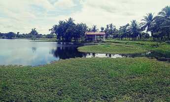 Imagem 3: Vendo Terreno Na Pindoretama Com 20 Hectares E Açude Dentro Vem Terreno Muito Bom. : Mate