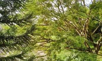 Imagem 3: Apartamento de 2 dormitórios, sendo 1 suíte no bairro Santa Tereza