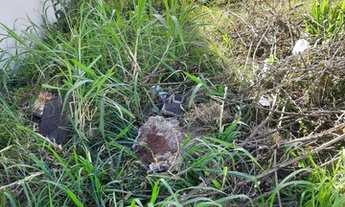 Imagem 4: LOTE 430 METROS JARDIM PATRÍCIA