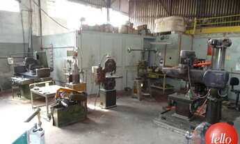 Imagem 4: São Paulo - Galpão/Depósito/Armazém - Vila Formosa