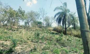 Imagem 2: Lote próximo ao rio Paraopeba