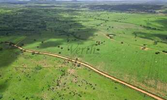 Imagem 3: Fazenda à venda 172 hecteres, Jeremoabo - Bahia