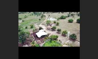 Imagem: Fazenda em Goiás, região de matrinçhã