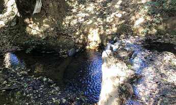 Imagem 5: Chácara 5.000 m² com córrego - PATO SELVAGEM