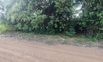 Imagem 5: /Lote com 1.020 m2 no Km 19 - Estrada Manoel Urbano