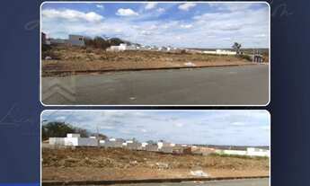 Imagem 2: Lotes Financiados e Á vista