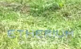 Imagem 2: Terreno 209m² á venda no Jardim dos Ypês em Salto/SP