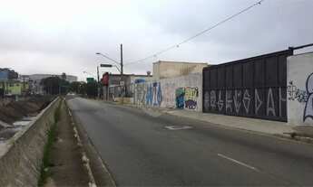 Imagem 4: Terreno à venda em Vila Regente Feijó - SP