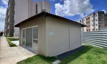 Imagem 7: Alugo apartamento em Camaragibe