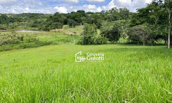 Imagem 6: Chácara 3 Alqueires à Venda Silvânia