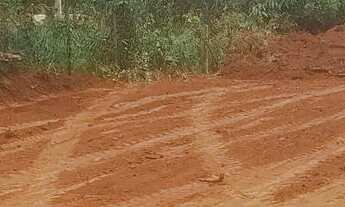 Imagem: Lotes no asfalto em ótima localização