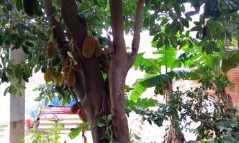 Imagem 7: Excelente Casa a Venda (R.G.I.) R$: 130.000,00 Ponte dos Leites - Araruama