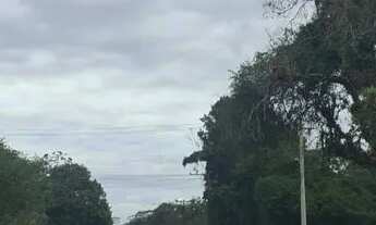 Imagem 2: Área de 2.000mtrs para chácara em Juquitiba!