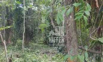 Imagem 4: Terreno à venda, 7963 m² por R$ 2.120.000,00 - Itaipu - Niterói/RJ