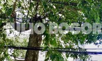 Imagem 2: Apartamento : Padrão / Residencial / Grajaú