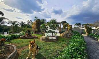 Imagem 4: Excelente chácara com piscina em São José dos Pinhais