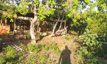 Imagem 6: Vende-se chácara na vila sadia