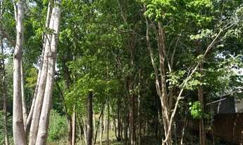 Imagem 5: Fazenda Real- Excelente terreno