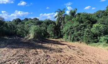 Imagem 7: Área rural 23.373m² Balsa Nova- 3Km Rod. PR-510, 10Km Campo Largo, doc 100