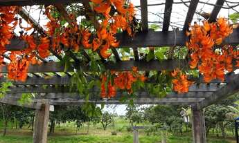 Imagem 2: Chácara para eventos