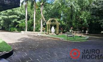 Imagem 3: CHÁCARA PETRÓPOLIS - ROSELANDIA EM ALDEIA