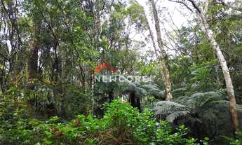 Imagem 4: Lote em Rua Sábias - Colinas - São Francisco de Paula/RS