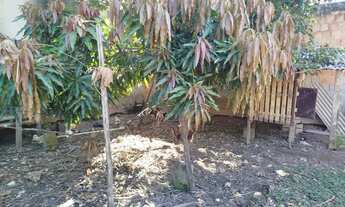 Imagem 2: Terreno em Barramares todo Murado ótima Localização
