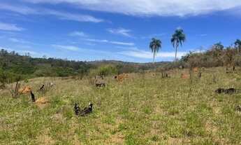 Imagem 6: Terrenos em Terra Preta Qualidade de Vida e Ótima Localização