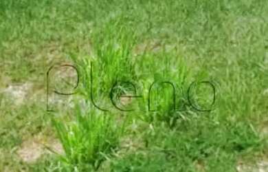 Imagem 2: Terreno à venda em Indaiatuba, Jardins Di Roma, com 300 m²